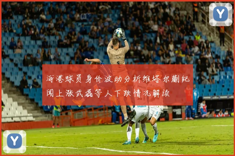 海港球员身价波动分析维塔尔蒯纪闻上涨武磊等人下跌情况解读